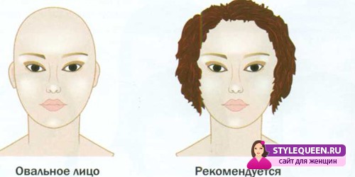 морфология и причёски
