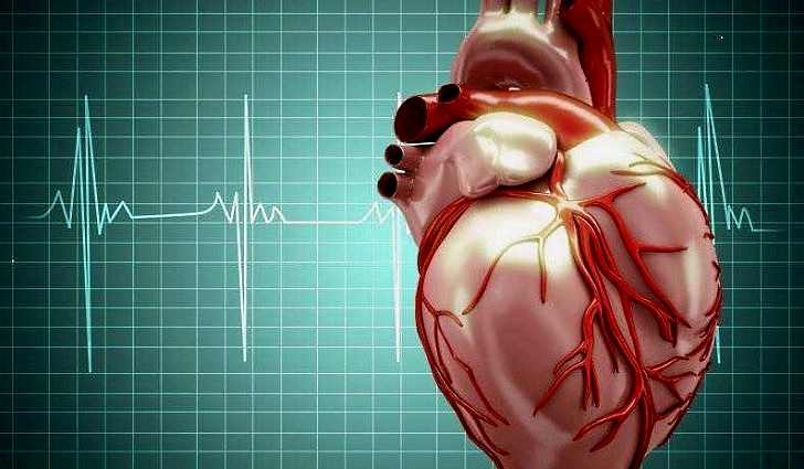 Мерцательная аритмия сердца, причины и лечение