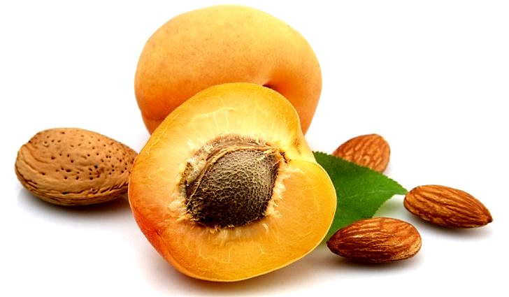 Противопоказания употребления семян абрикоса
