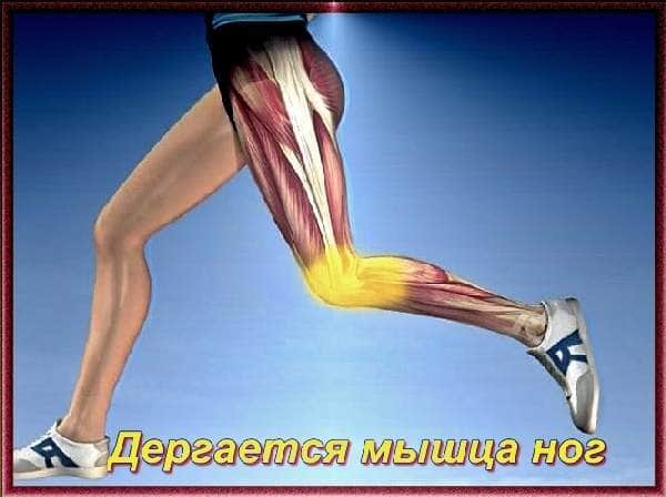 Почему дергается рука нога. Дёргаются мышцы по всему. Подергиваются мышцы на ногах. Подергивание мышц бедер.