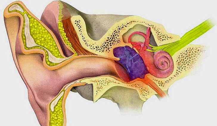 Евстахиит - воспаление среднего уха