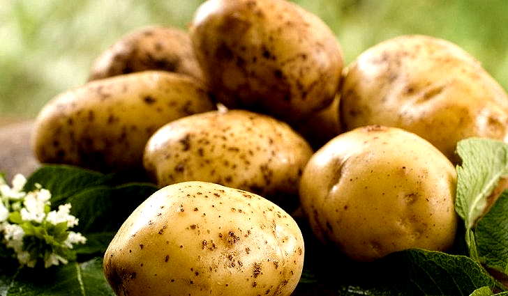 Сырым картофелем лечат мигрень